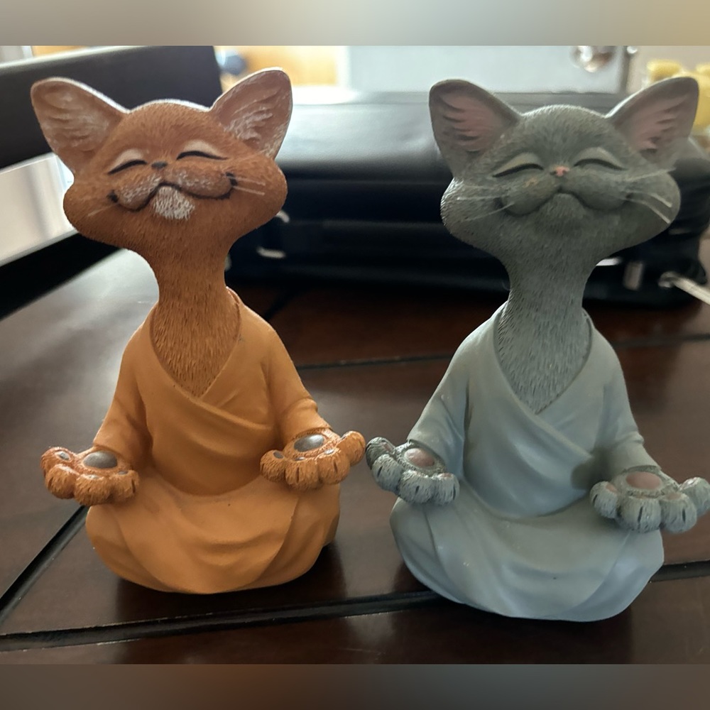 Pair of meditating cats